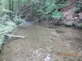 fowlers hollow.Laural run 06-09-14 076
